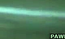 Why does she scream so loud in the shower?