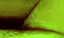 Wicked gal rides in reverse cowgirl on homemade video.