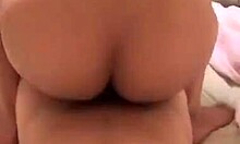 Bedroom gf porn with feisty couple doing it all 😏. Missionary fucking, pov blowjob, and sucking in amateurs.