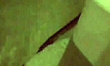 Girl with Long Tongue Loves Intense Oral Sex in Bathroom POV