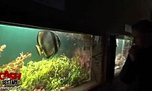 Outdoor gf homemade video with naughty couple giving handjob