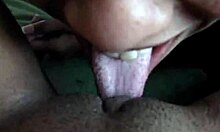 Girls lick massive toys for pleasure.