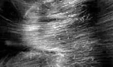 Wow, Check This Astonishing Chick Sucking on Her Brown Sofa!