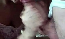 This hairy guy gets a hot blowjob from an experienced 18+ chick in lingerie.