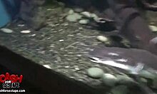 Outdoor gf homemade video with naughty couple giving handjob