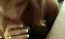 Mysterious Cutie Makes Eye Contact While Sucking Penis