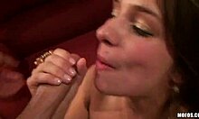 guys and dolls chatting about their next film