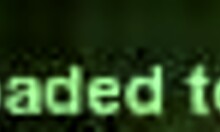 Hot Brunette Girlfriend Sucks Cock In Pov Oral Vid