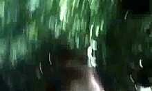 wild babe sucks cock in forest outdoor blowjob
