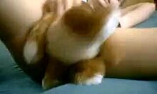 Blonde girl masturbates with teddy bear on webcam