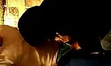 brisk blonde enjoys giving head in amateur porno