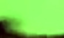 Watch oriental cutie give head in homemade tape?