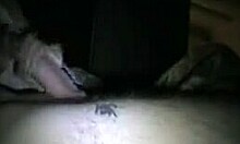 Gal Gets Fucked from Behind in Nighttime Porno Encounter