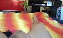 Sweet amateur girl gives head in POV. Her shaved pussy gets pounded hard.