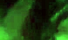 In the bedroom, this sweet slut rides cowgirl, deepthroating and getting fucked hard.