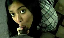 Cute Latino bitch slurps hard wang