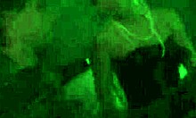 Cutie sucking balls like they're sugary treats