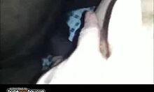 intense hardcore affair with blonde bimbo being nailed