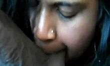 Ebony Sugar MUNCHES Balls and SWALLOWS Big Black Cock