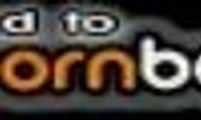 nothing but amateur sluts blowing in this hot comp