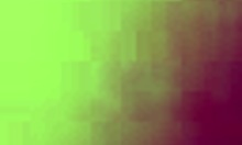 Beautiful Tattooed Blonde Vixen in Doggy Style Fucking