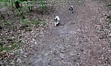 Cunt getting ready for an outdoor amateur porno in the forest