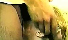 Interesting Cutie With Glasses Shares Amazing Moments