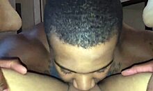 Crystina Rossi Eats Pussy In POV With Black Bull