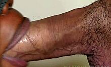 Big White Cock Fills Ebony Slut's Mouth