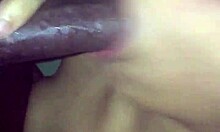 Latina Amateur Hints at Sucking Black Cock in Homemade Video
