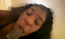 Her Man Called While She Sucked My Monster BBC