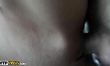 seductive brunette teases a thick black cock in forest shadows