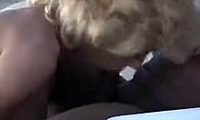 Blonde With Fake Tits Deepthroats Big Black Cock