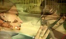 Bikini-Clad Girlfriends Finger Each Other In The Swimming Pool