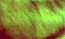 Red Panties Girlfriend Exclaims Enjoying Hairy Anal Finger and Blowjob Next to Couple!