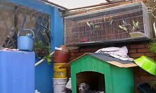 hey, watch this thick brunette soaping her big tits and ass in the pet store shower?