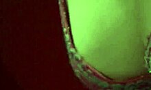 Fed Your Curiosity by Picking on Hot Girls Through Hidden Cam