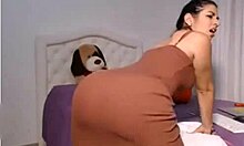 Collar-Wearing Brunette Reveals Killer Curves!