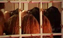 Black panties brunette and curly-haired girlfriend fucked side by side