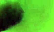 Dark-Haired Chick With Black Nails Masturbating And Sucking Cock