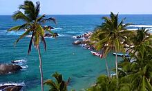 Victor Bloom interviews nerdy couple at home