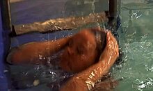gorgeous amateur gabriella shows wet pussy by the pool