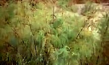 Busty Blonde Sammie Sparks Devours a Massive BBC in Outdoor Action