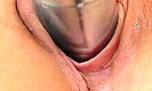 Brown-Haired Beauty Amy Ried Teases Pussy