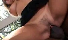 Collared white slave Avy Scott, wanna take this BBC deep in throat?