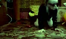 mature blonde masturbates furiously!