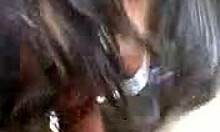 brunette milf blows outdoors naughtily