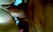 i watch my smooth pussy get destroyed by a hot cock up close