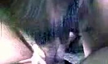 Mask-Wearing Amateur Slut Sucking Big Fat Dick