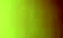 this pov close-up shows the blonde amateur in action